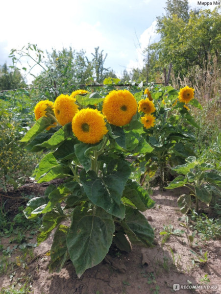   📷
