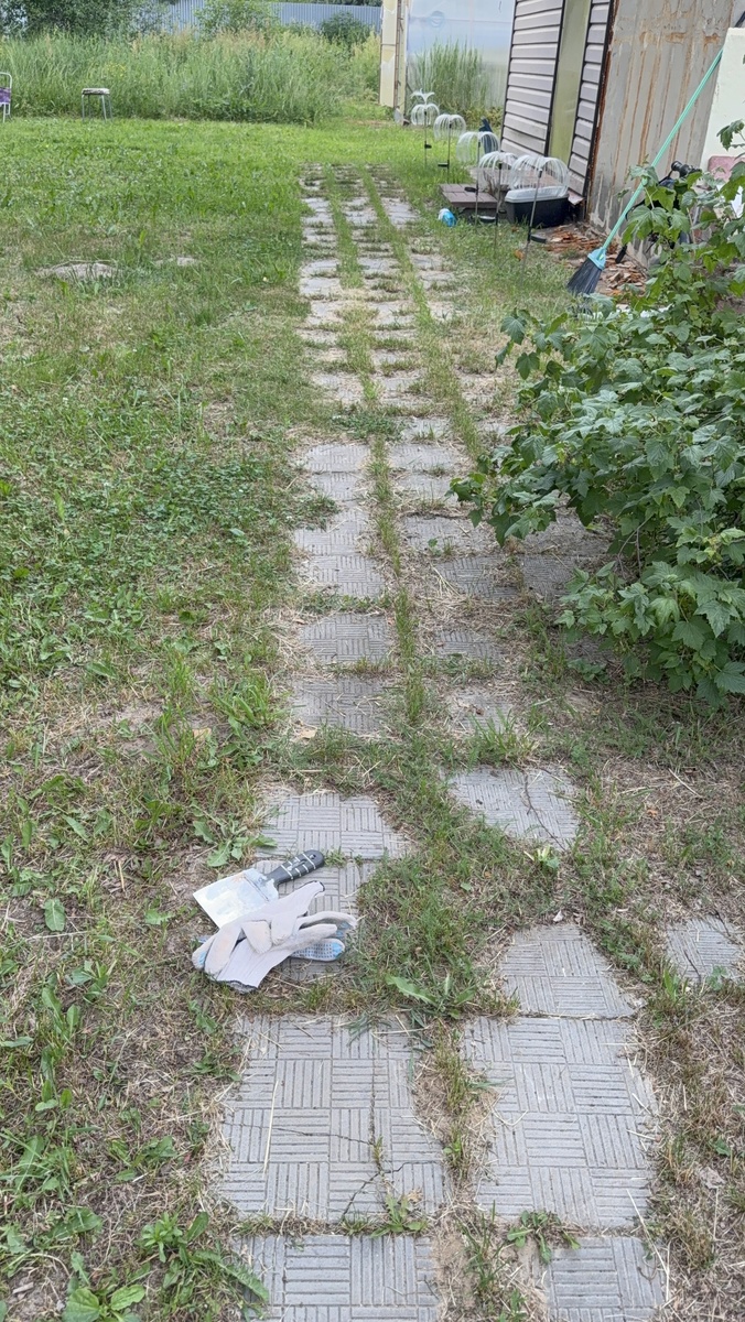 Тропинка совсем заросла