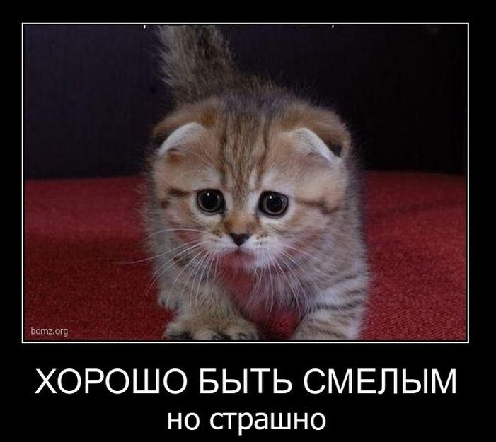 источник Яндекс-картинки