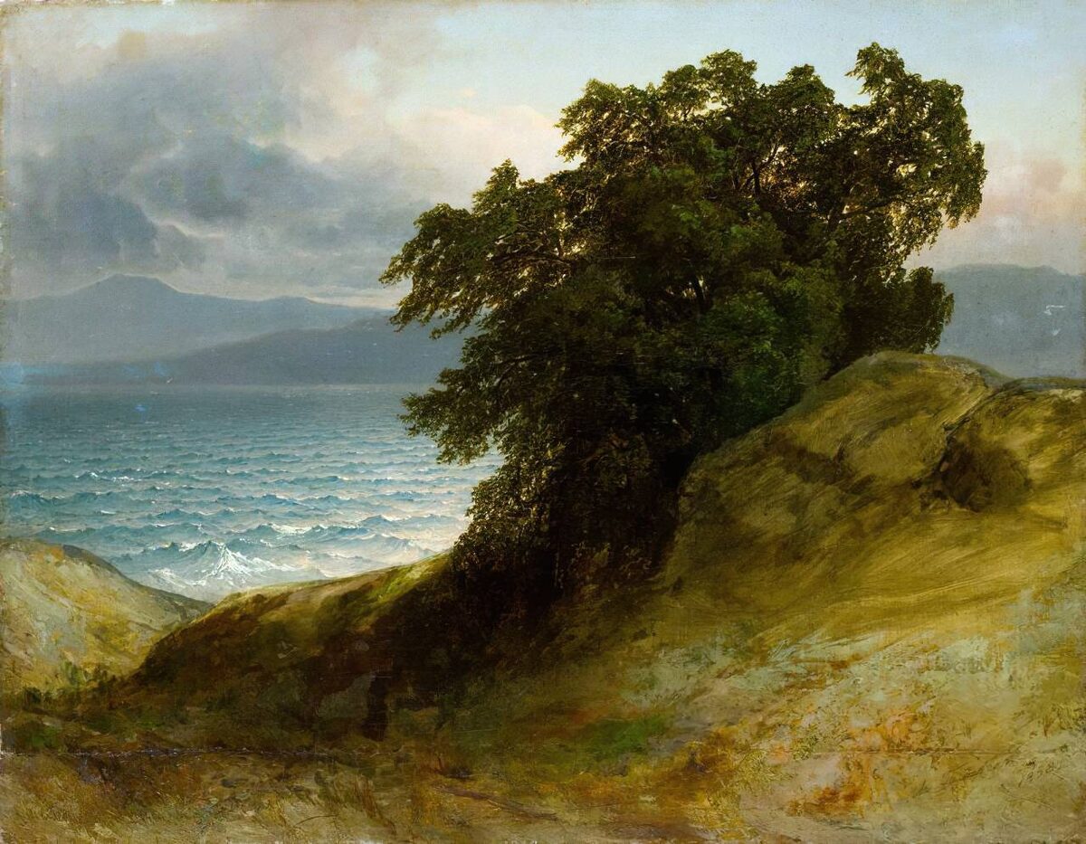     Аполлинарий Горавский. Ветер на берегу Женевского озера. 1858   
undefined