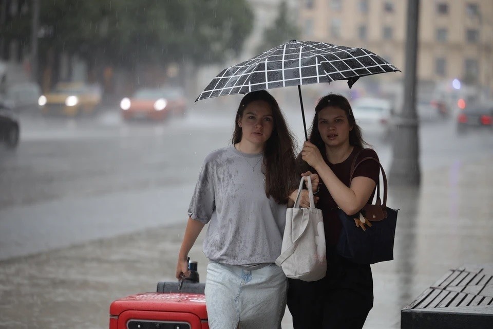   Скорость ветра в Новосибирске достигнет 3-8 метров в секунду. Николай ОБЕРЕМЧЕНКО