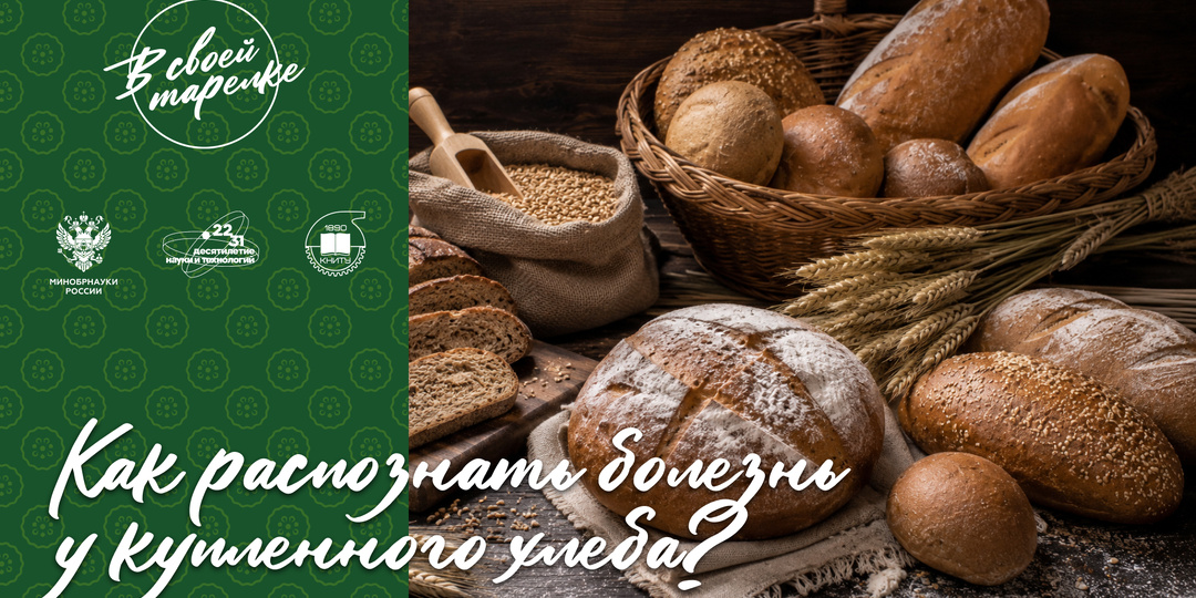 Как распознать болезнь у купленного хлеба?
