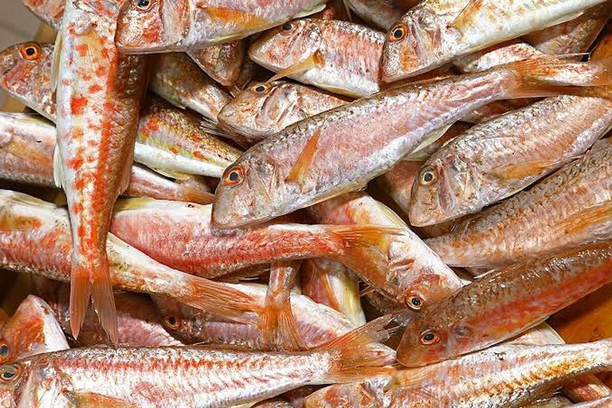 Фото с сайта: https://onedio.com/haber/omega-3-deposu-olan-sofralarinizdan-eksik-etmeyeceginiz-mart-ayi-baliklari-rehberi-1132400