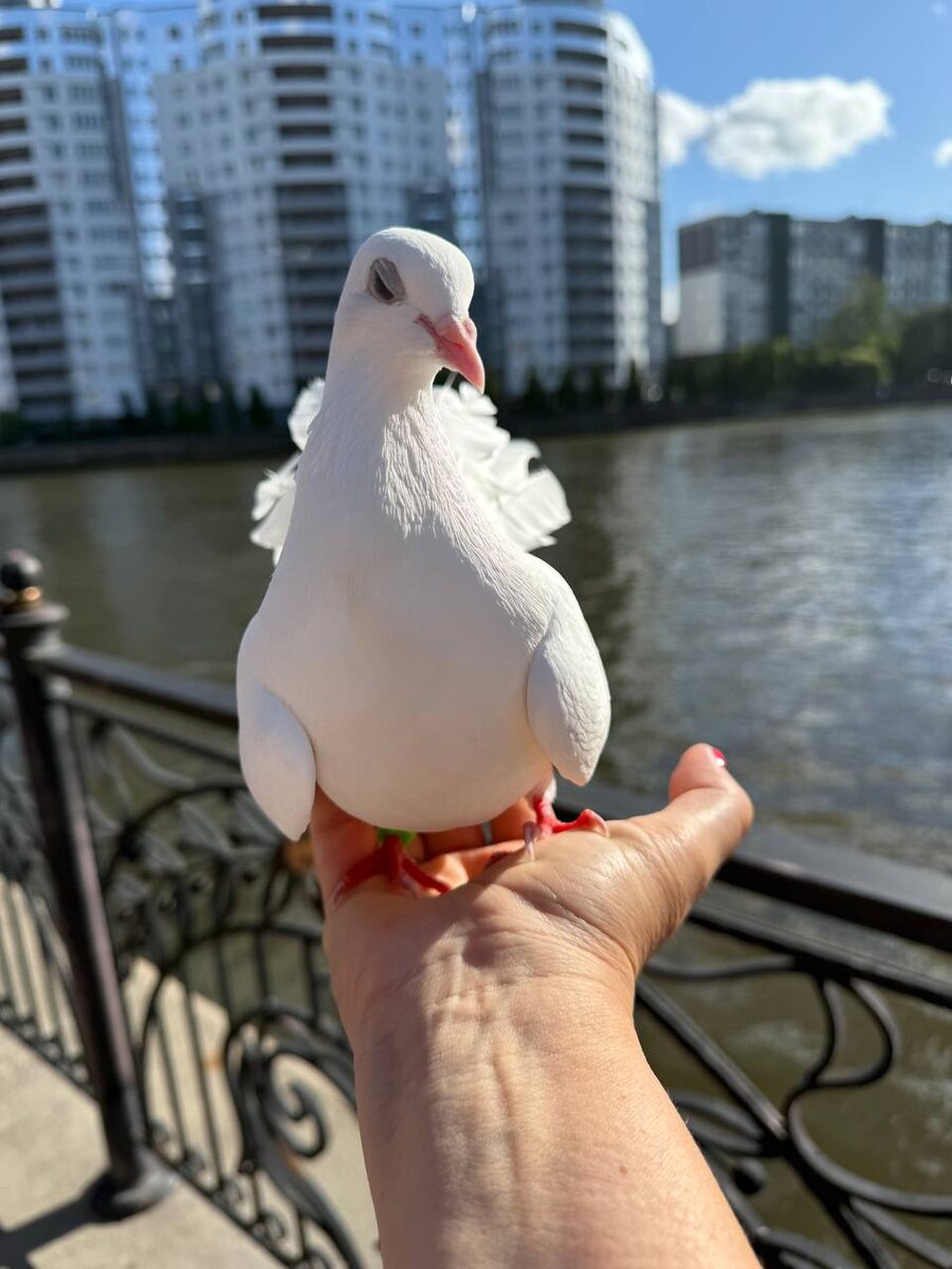 -2
