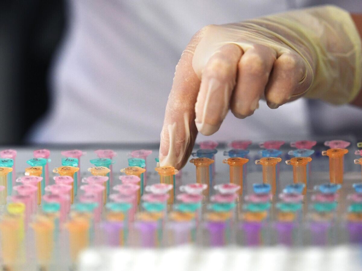    Сотрудница лаборатории Медико-генетического научного центра за работой | © РИА Новости / Михаил Воскресенский