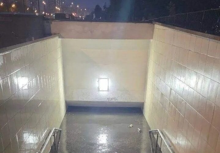    Фото: соцсети