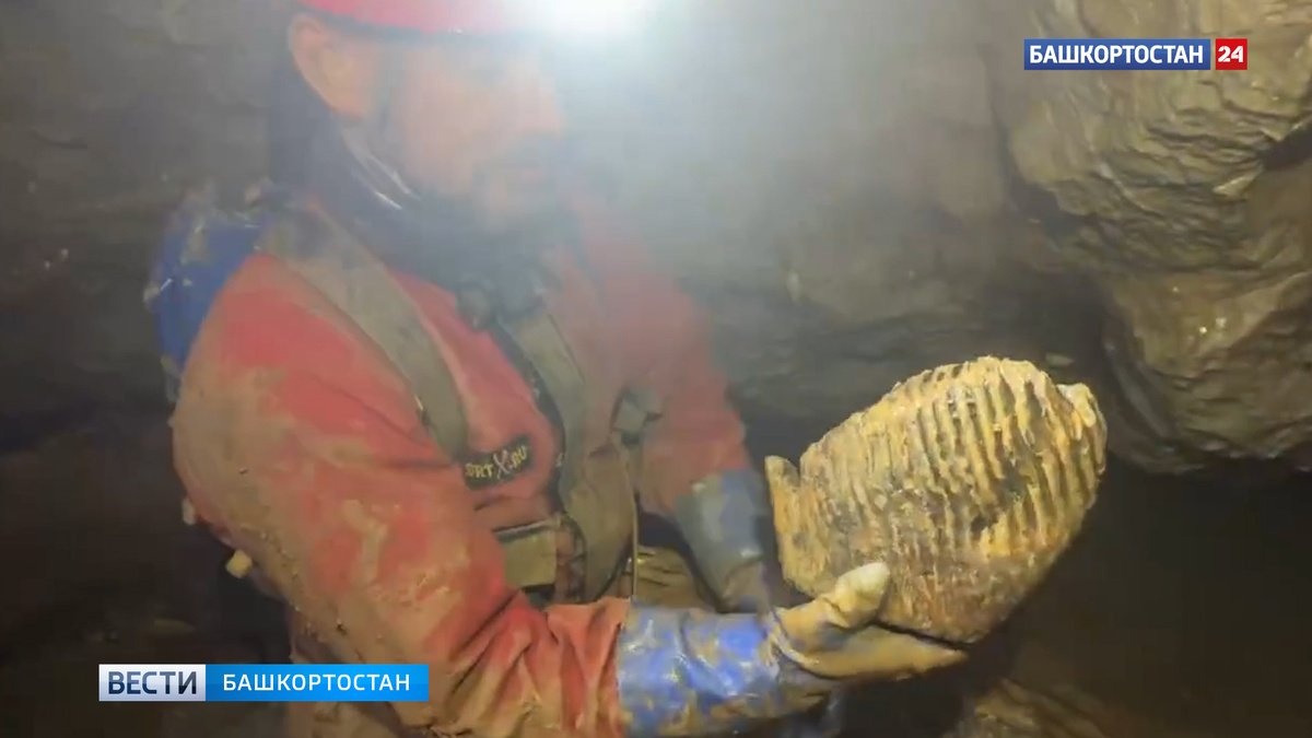    Зуб мамонта нашел уфимский путешественник в одной из уральских пещер