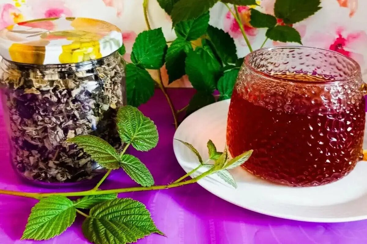 Чай из ферментированных листьев малины