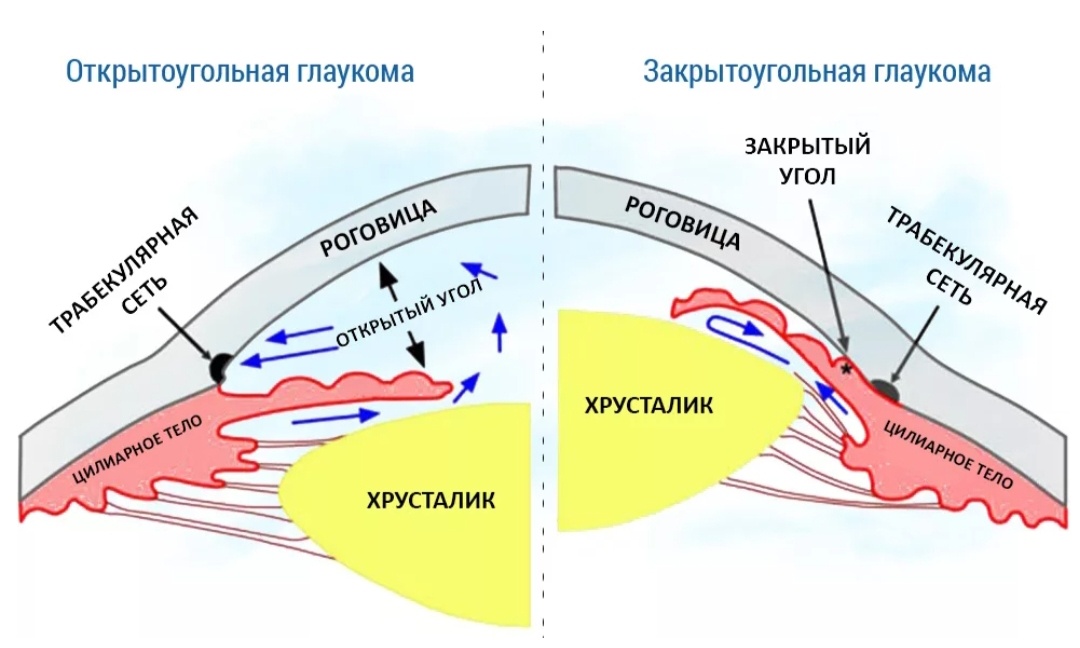 Изображение из Яндекс картинки 