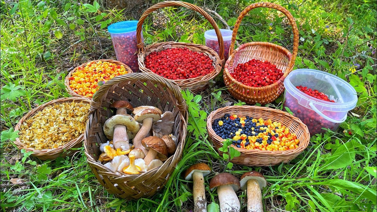 Картинка из сети интернет, спасибо автору.