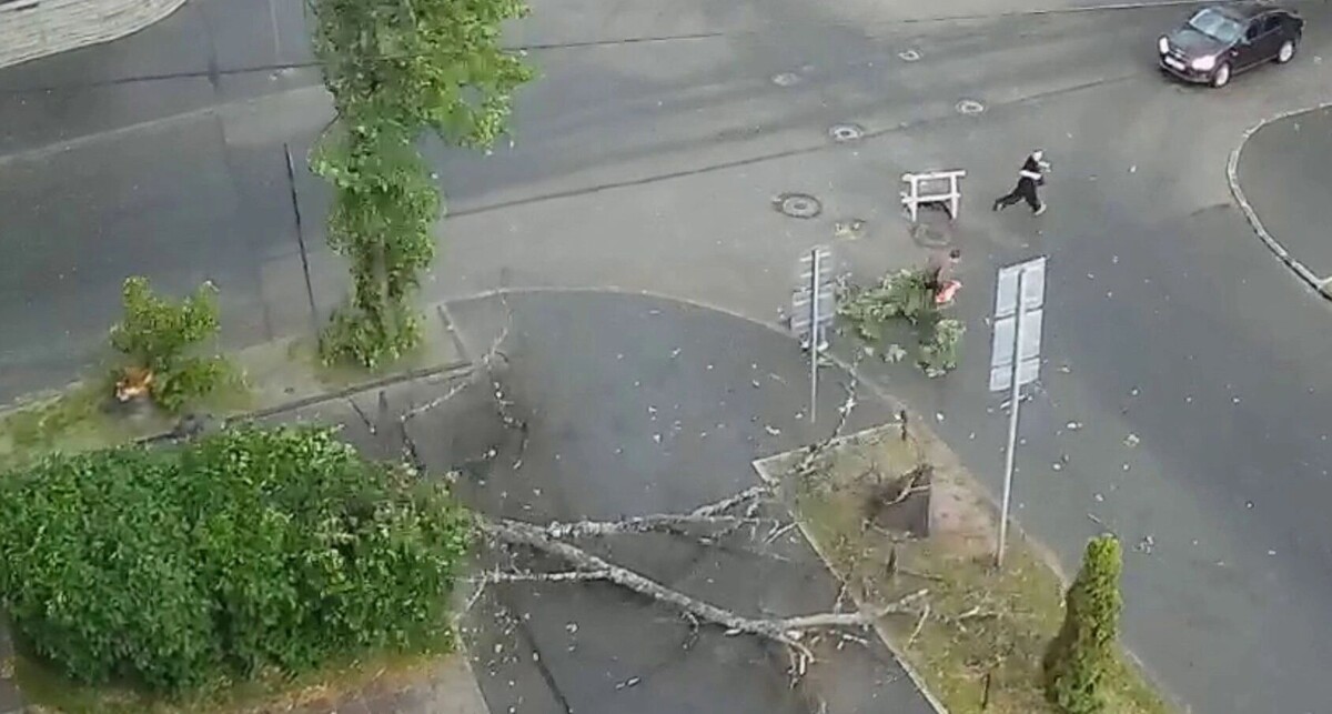   Скриншот видеозаписи
