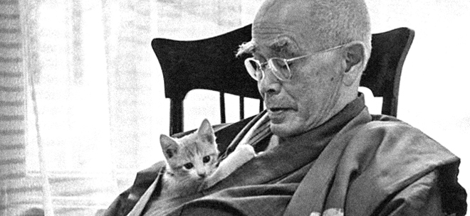 D.S. Suzuki and a cat - luckily alive!