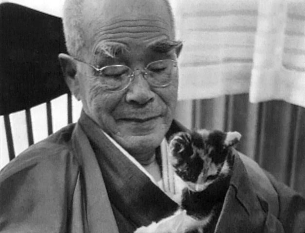 Plenty of Suzuki's pics with cats. All cats alive! 