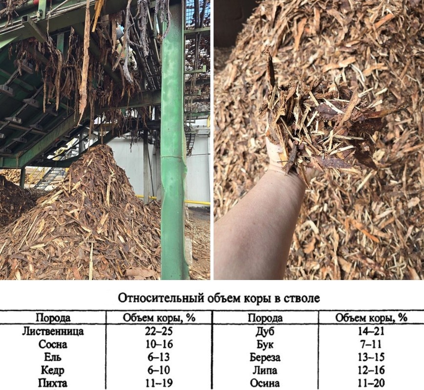 БТК «Поли-НОМ». Корорубка. Объем коры (баланс коры).