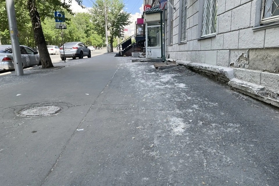    Пух повсюду в городе. Дарья СИДОРЕНКО