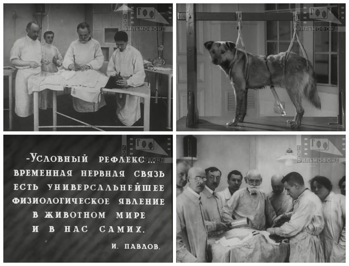 Кадры из фильма «Иван Петрович Павлов» (1949).