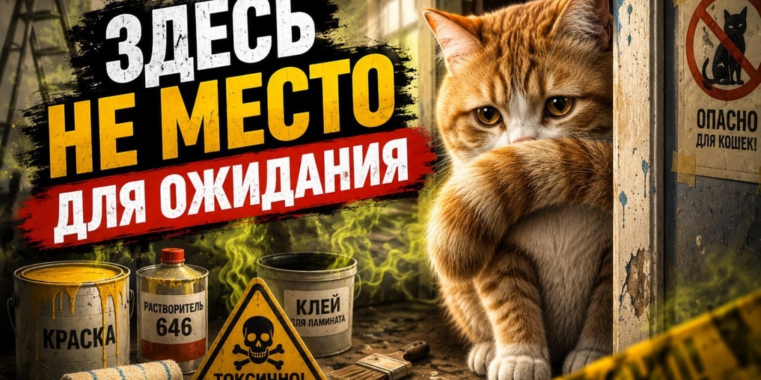 Вчера услышал историю врача о том, как человек делал ремонт