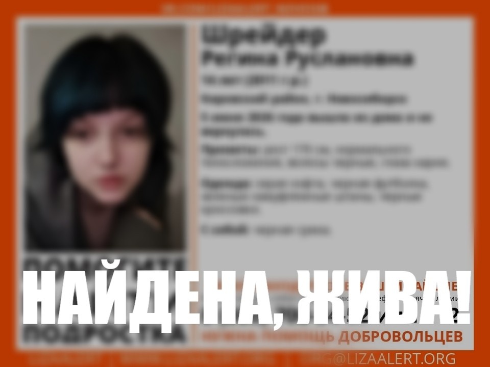    Девочку-подростка нашли живой. Фото: поисковый отряд «Лиза Алерт» Новосибирской области.