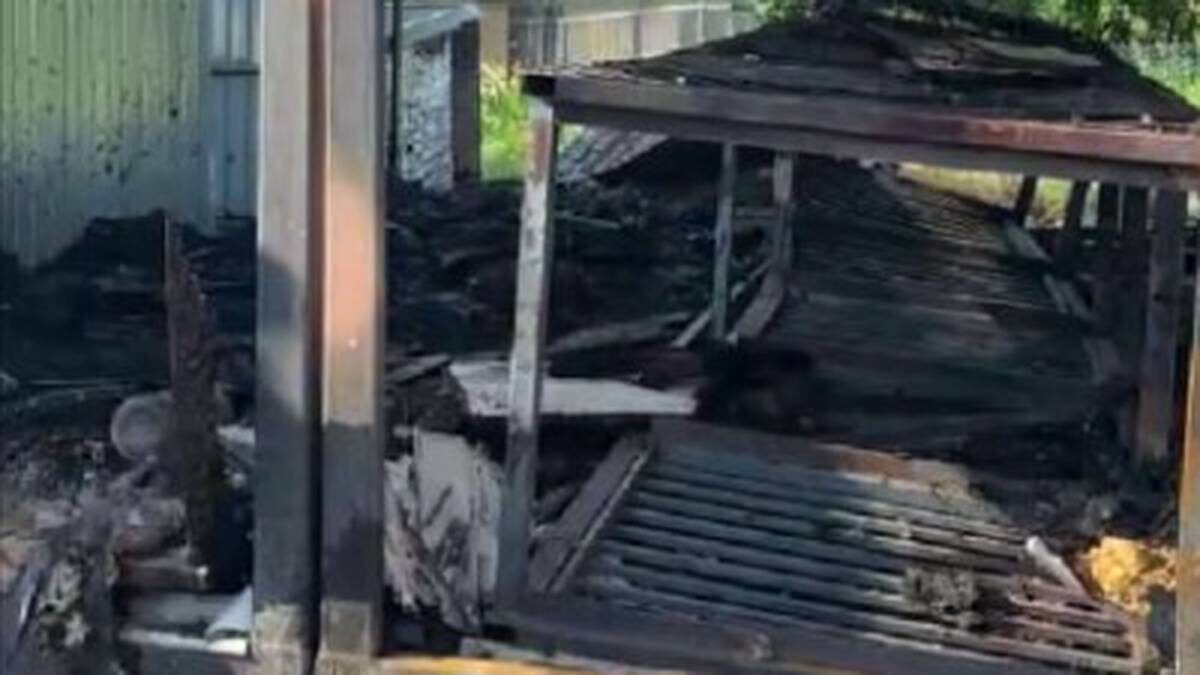    Фото: скриншот видео / ТРОО помощи животным «Шанс на жизнь» / «ВКонтакте»