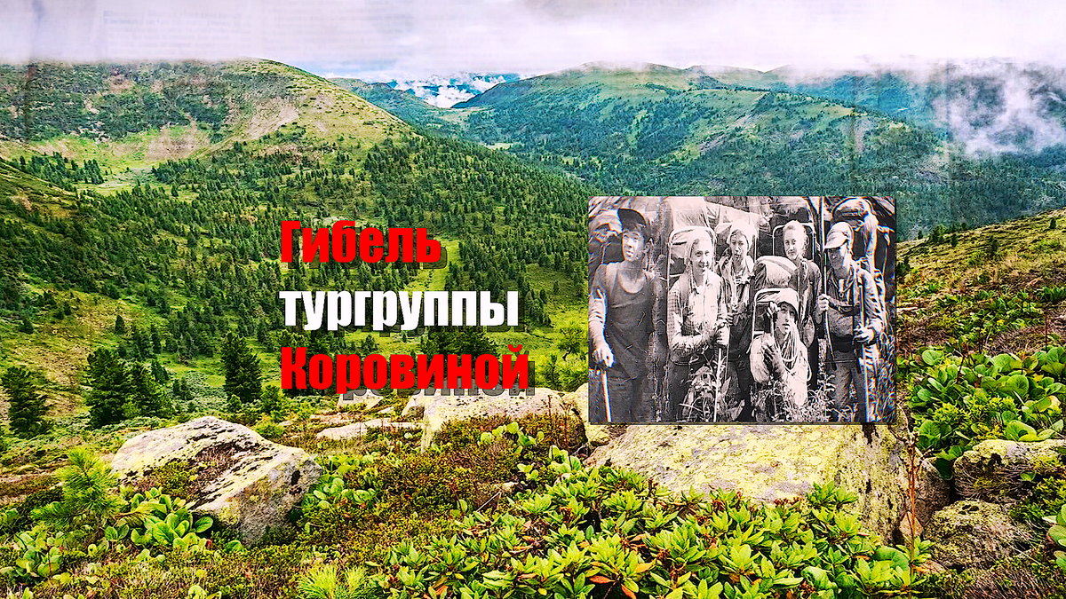 https://rutube.ru/channel/14429252/shorts/