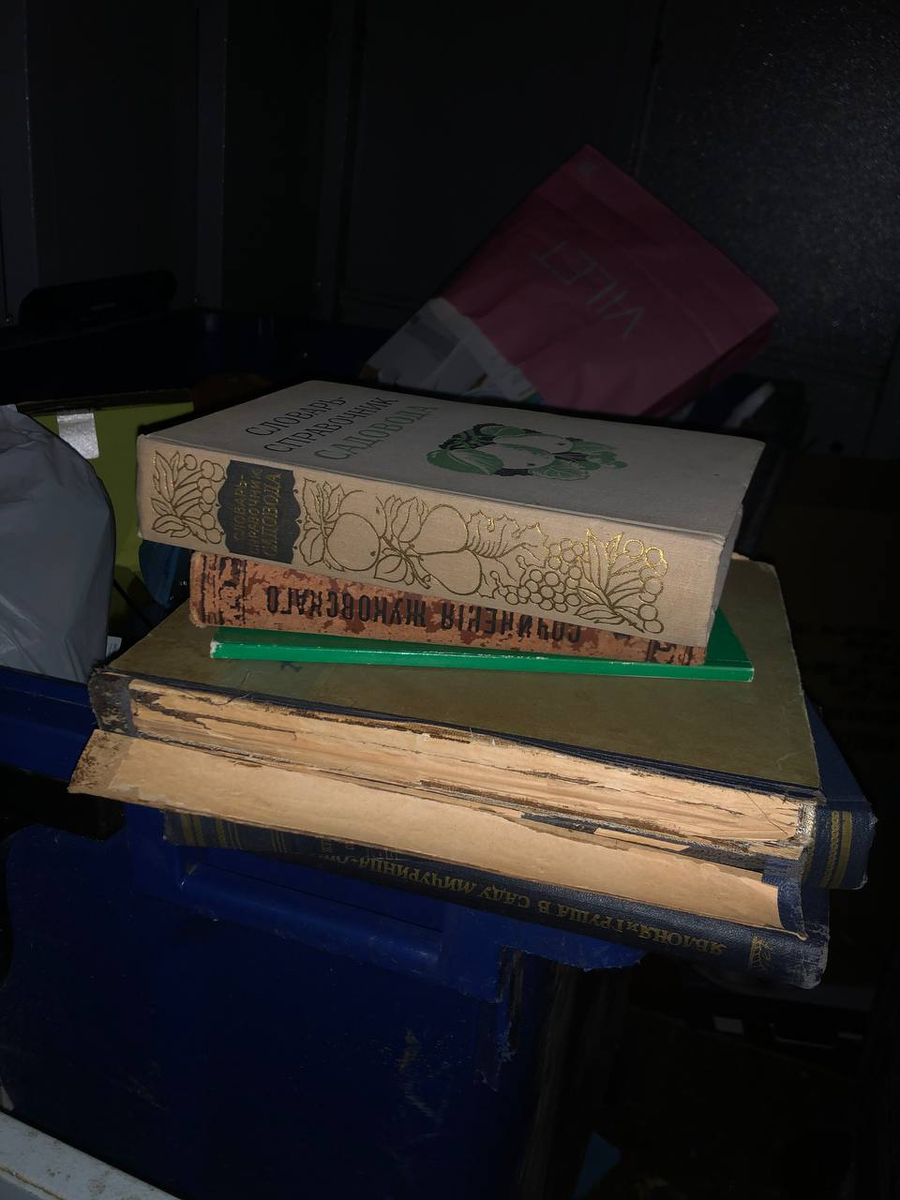 выброшенные книги
