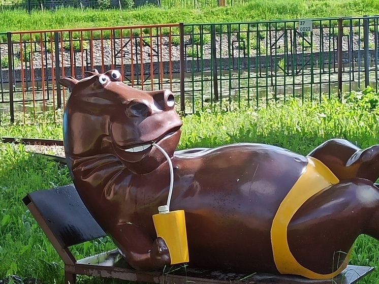     «МК-Иваново»