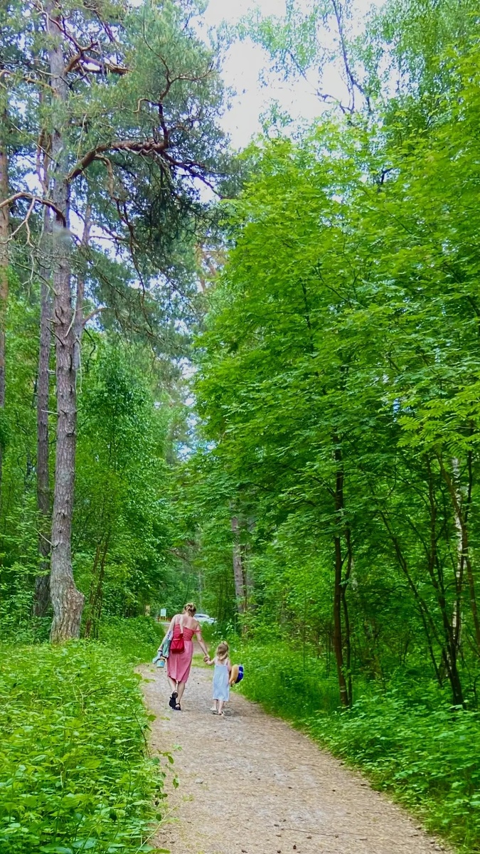 Природа на Куршской косе