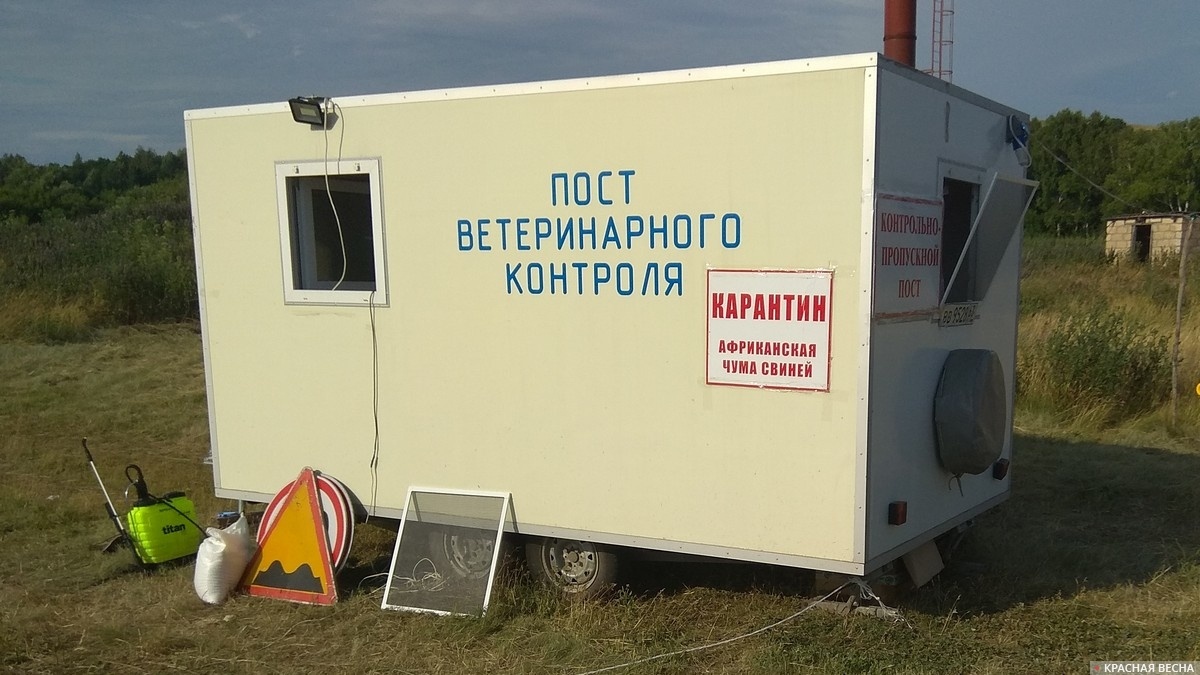     Карантин. Пост ветеринарного контроля   
Павел Редин © ИА Красная Весна