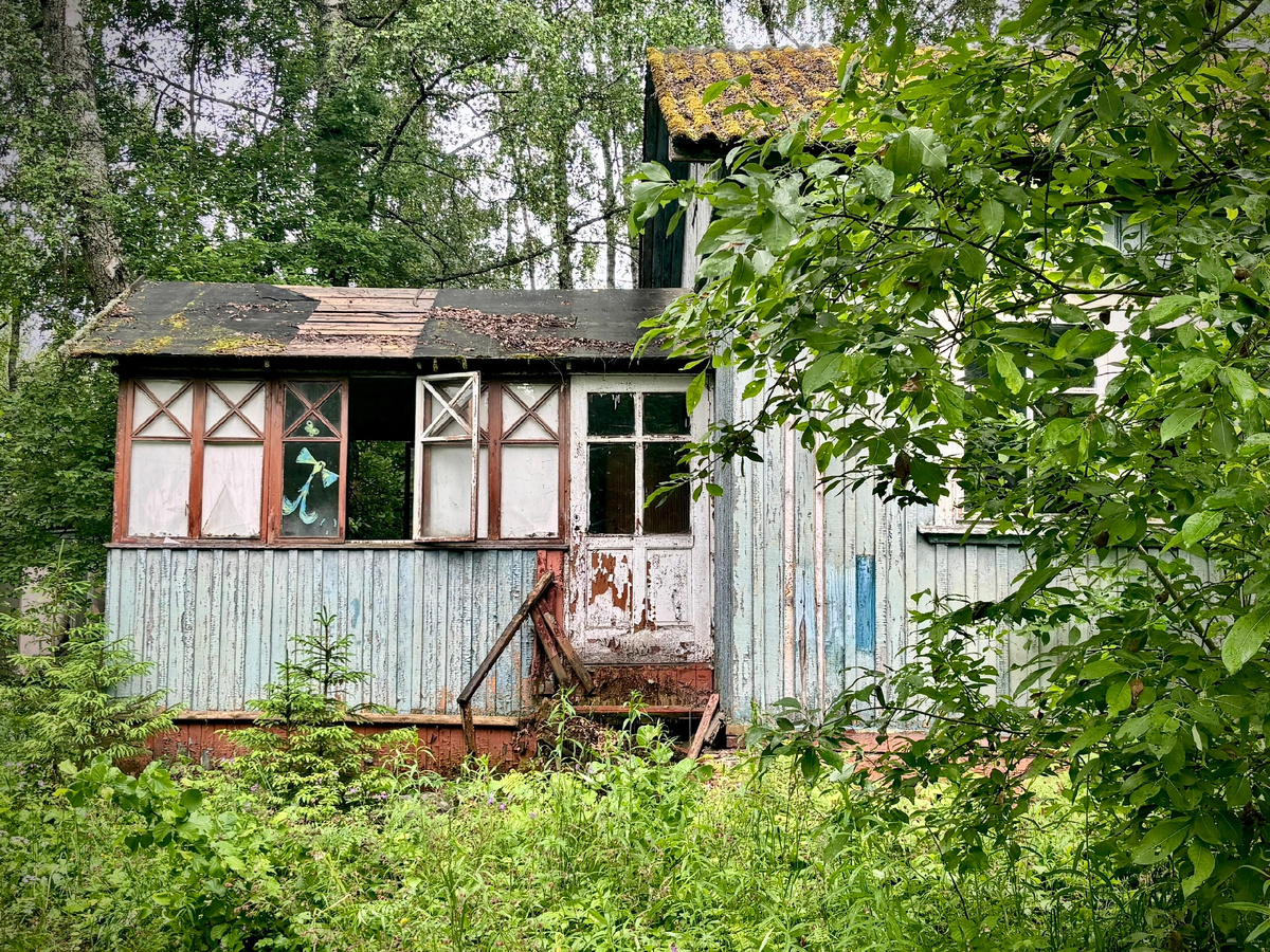 Заброшенный детский лагерь Василёк. Дмитров.