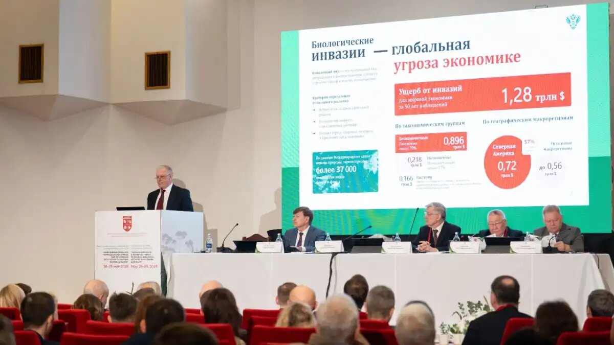 Фото: Россельхознадзор
Сергей Данкверт рассказал об особенностях распространения и вреде чужеродных растений на Международной конференции по инвазиям