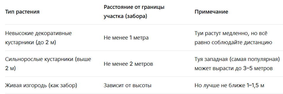 как сажать тую вдоль забора