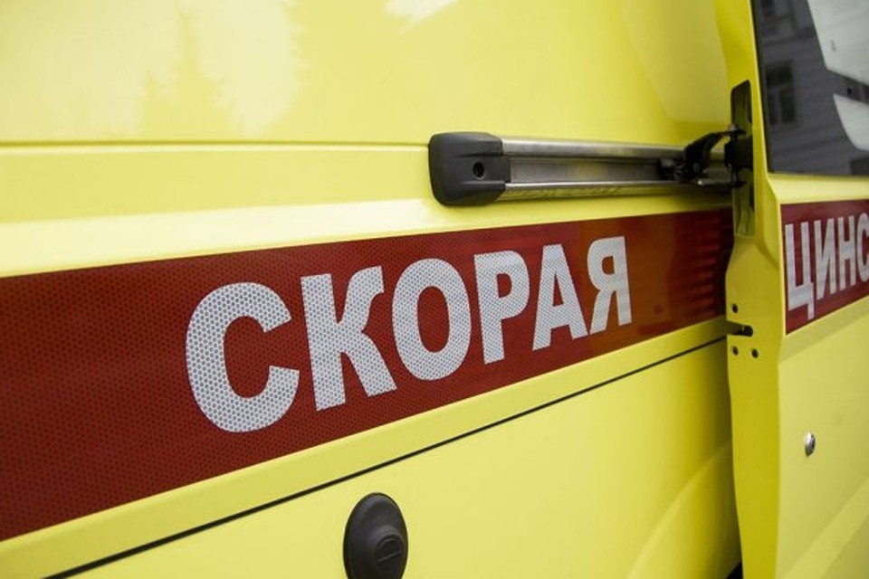    Клещи заражают жителей Тверской области Павел МАКАРОВ