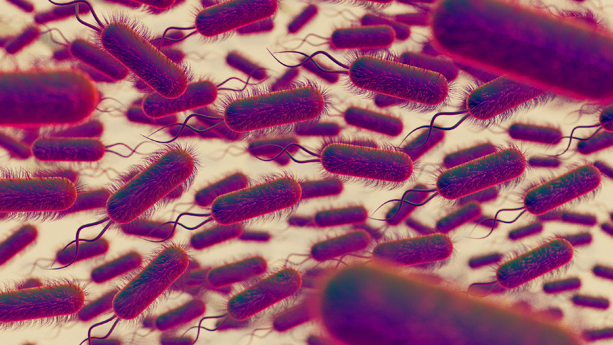 <a href="https://www.magnific.com/ru/free-photo/3d-representation-microscopic-pathogens_45139175.htm#fromView=search&page=1&position=1&uuid=00674a57-1b6d-4330-bf0c-92d2672e25b0&query=%D0%BF%D0%B0%D1%80%D0%B0%D0%B7%D0%B8%D1%82%D1%8B">Изображение от freepik</a>
