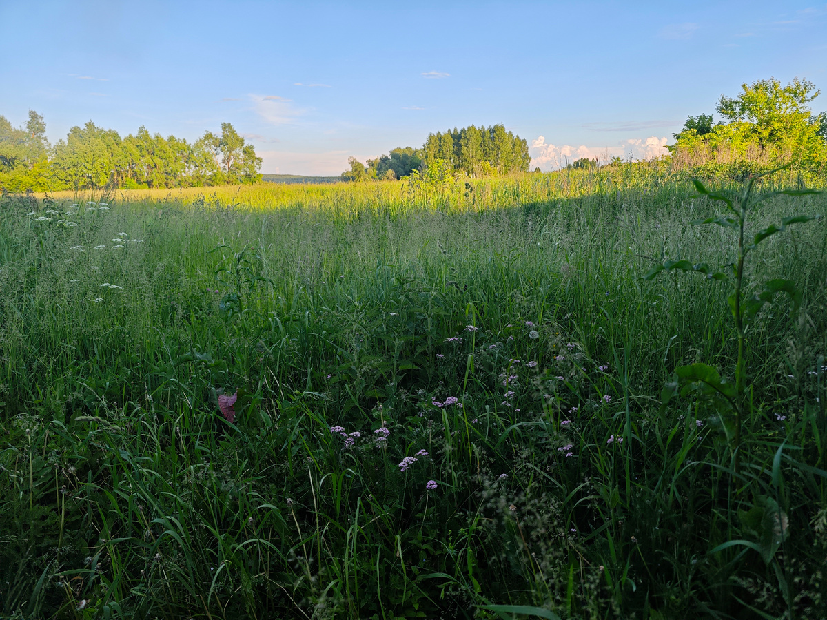 Фото автора канала 