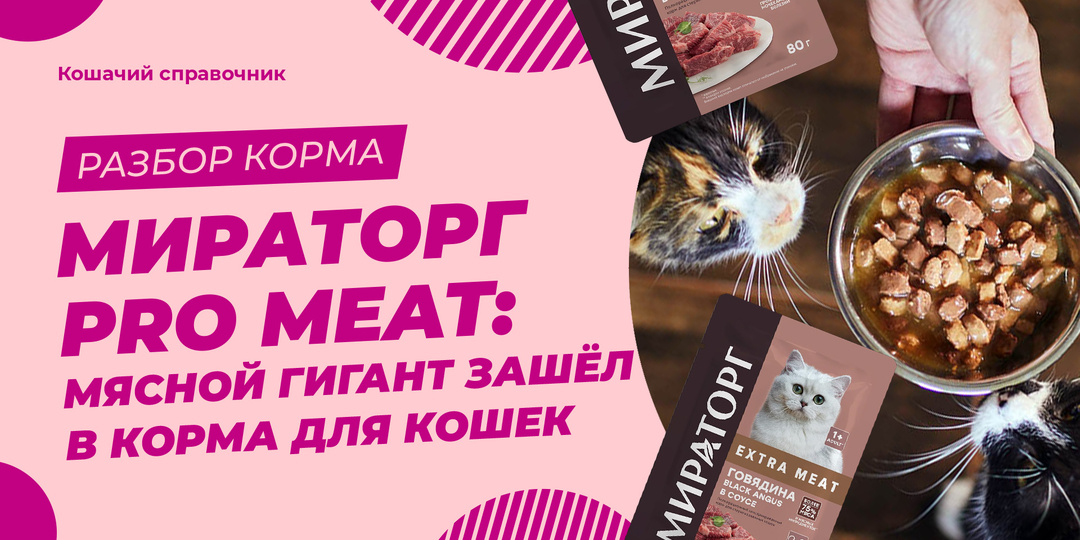Мираторг Pro Meat: мясной гигант зашёл в корма для кошек. Что внутри?