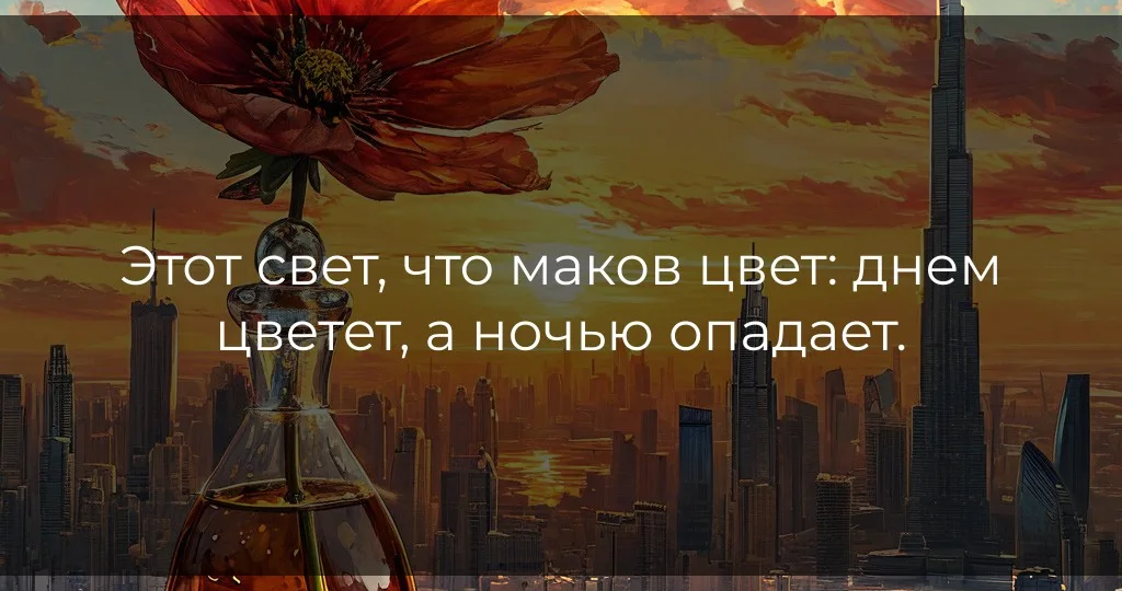 Этот свет, что маков цвет: днем цветет, а ночью опадает
