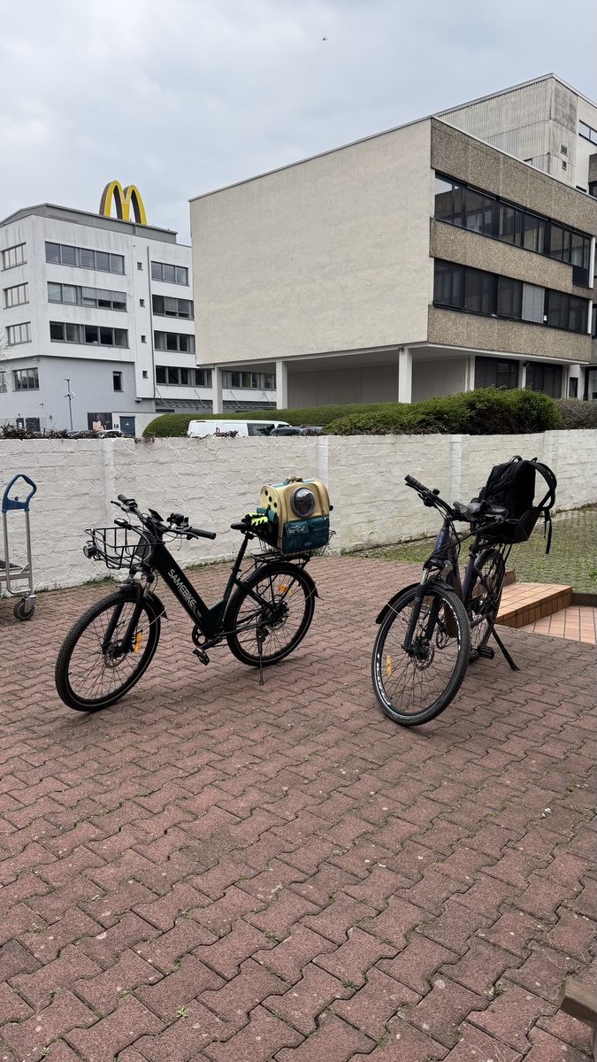 21.03.2026  Offenbach am Main. Автор: Елена Мельникова (plennica_neba)