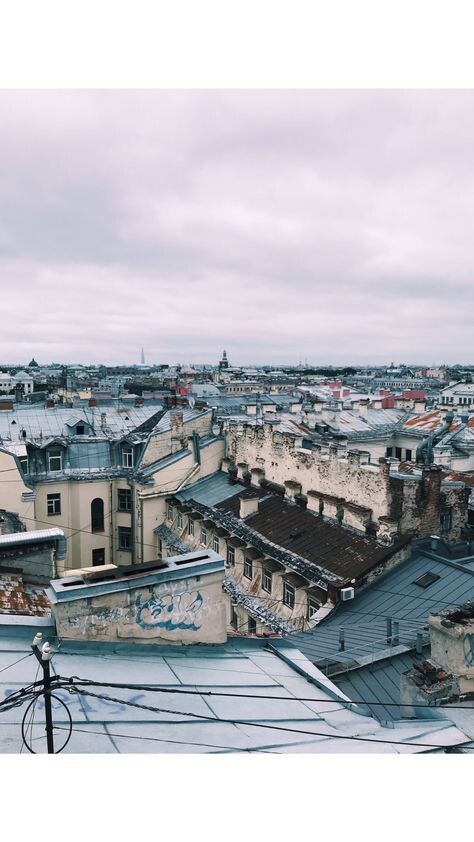 Серые облака медленно двигались в сторону Финского залива, начинался дождь.