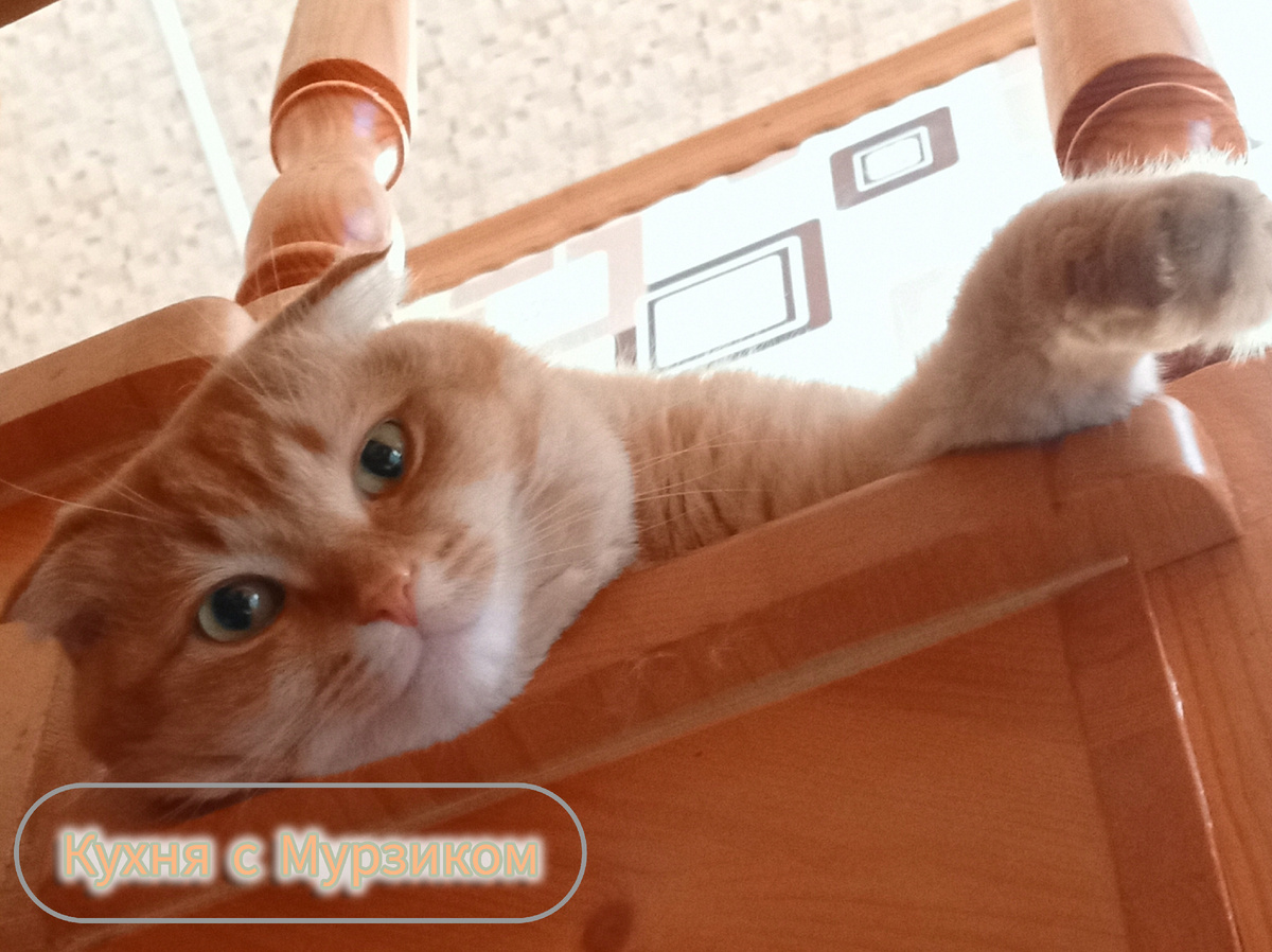 Мурзик наблюдал за процессом с лестницы – одобрил 😸