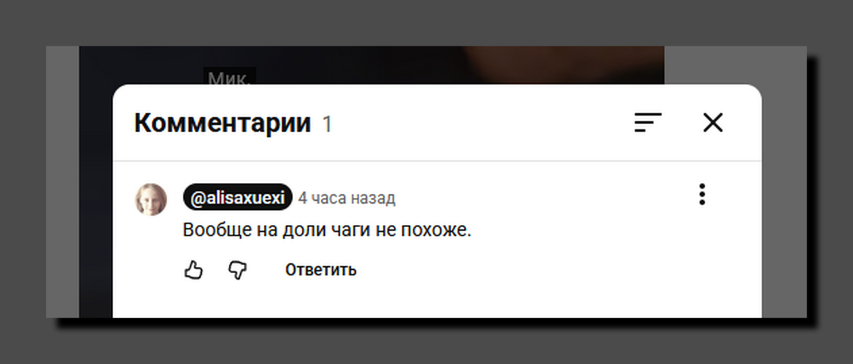 Скриншот https://www.youtube.com/@alisaxuexi