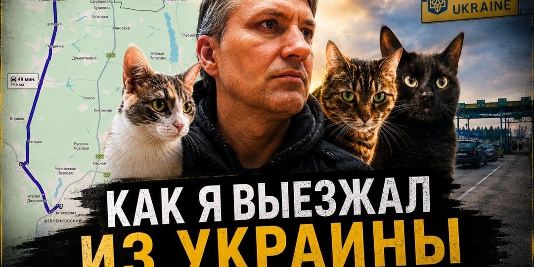 Все-таки решил с вами поделиться личной историей переезда "Из Харькова в Россию с тремя кошками", 9 марта 2022