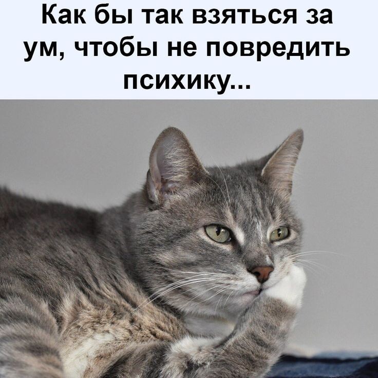 источник Яндекс-картинки