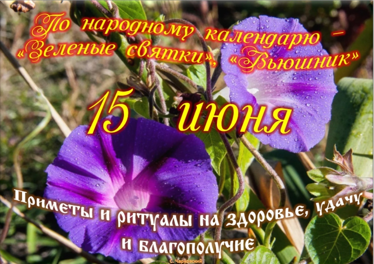 Встречаем новый день