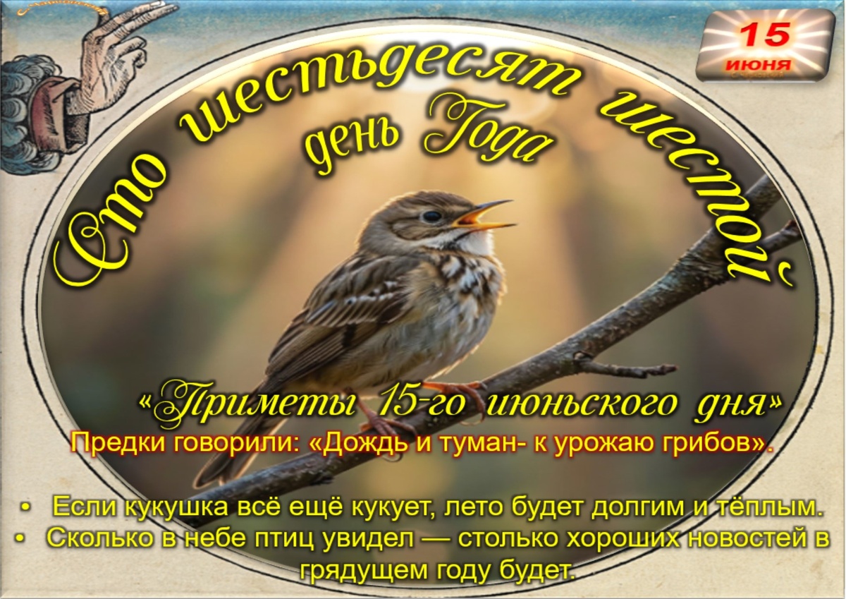 Встречаем новый день