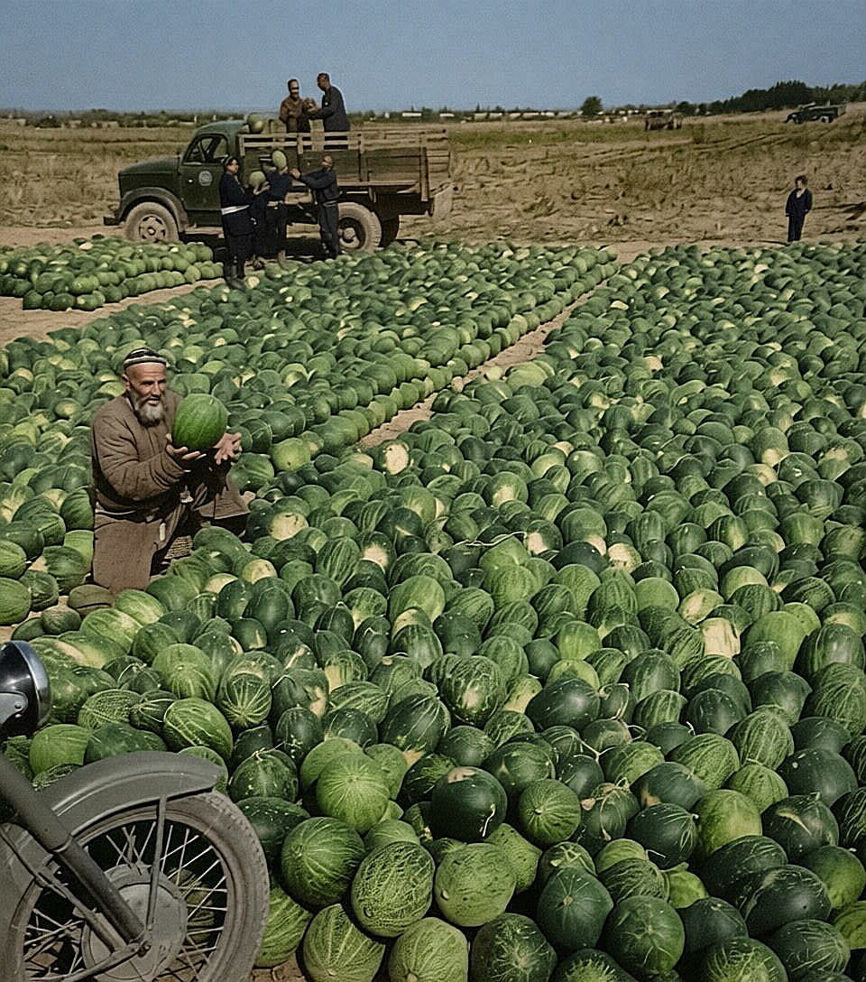 Фотограф Зельма Г.А. 