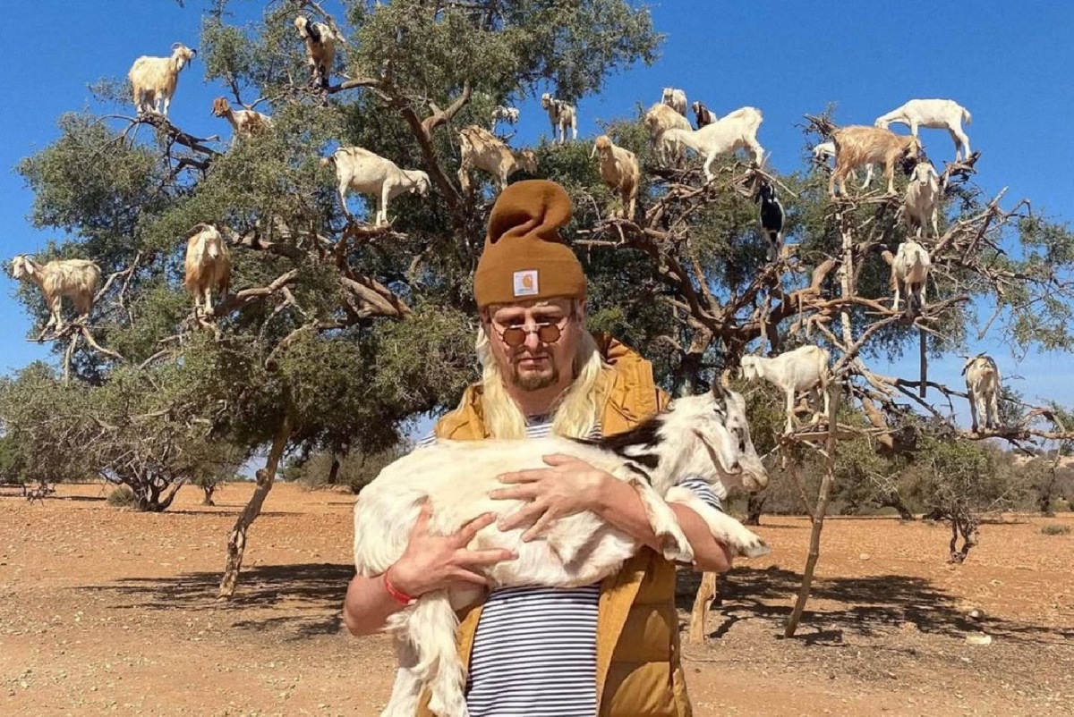    Оливер Три (Фото: Instagram* @olivertree)