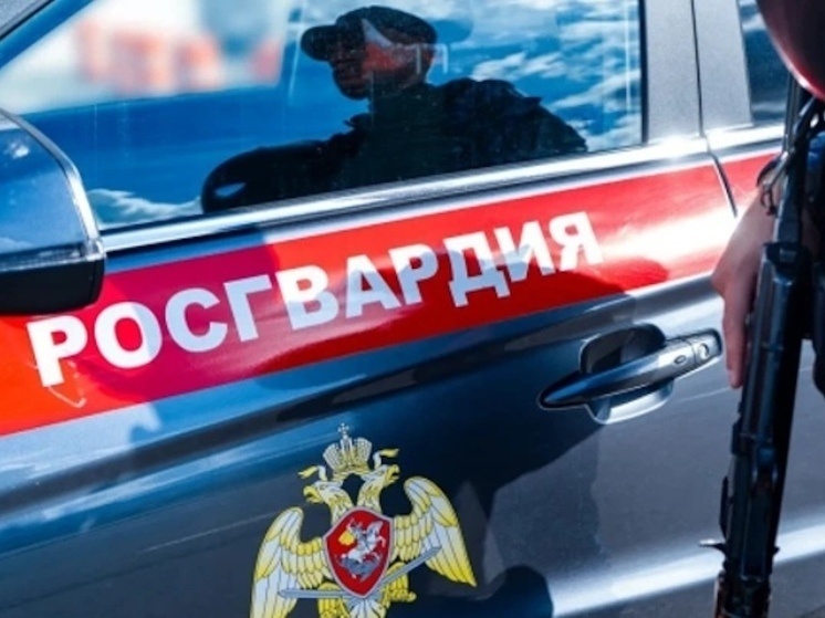     Фото пресс-службы управления Росгвардии по Архангельской области