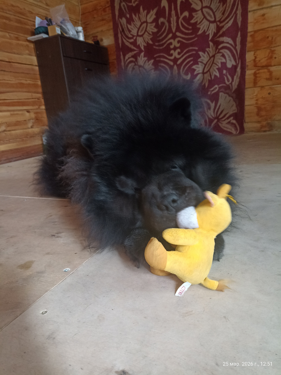Моё 