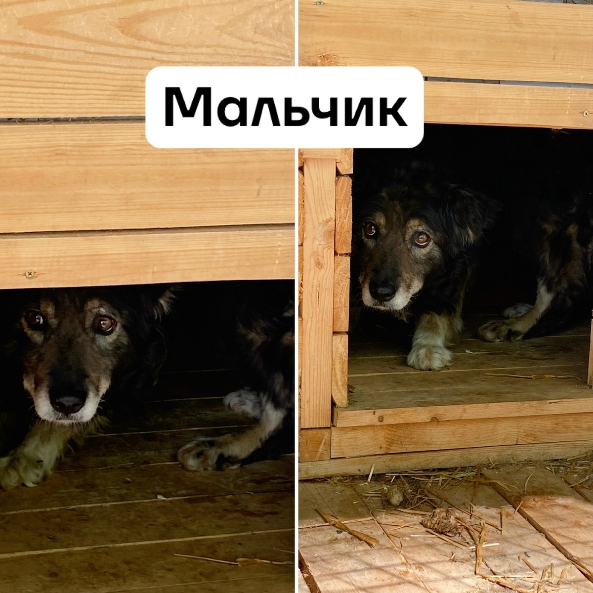 -2-3