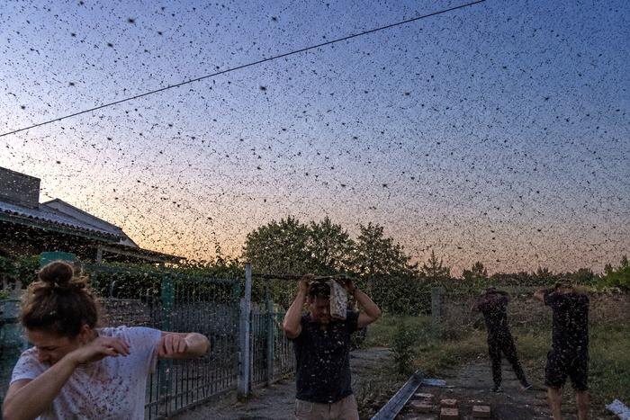 Обложка © Life.ru / ChatGPT